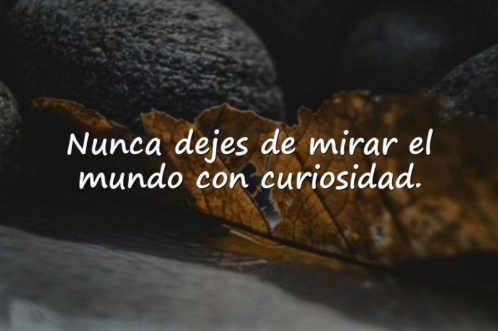Imágenes frases del principito - 6