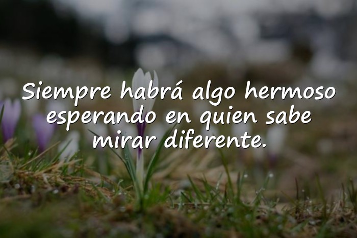 Imágenes frases del principito - 1