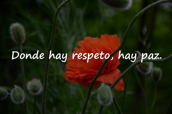 Imágenes frases del respeto - 21