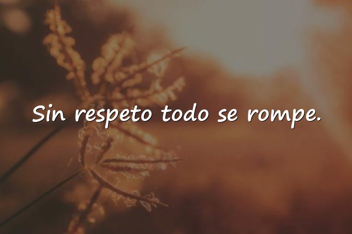 Imágenes frases del respeto - 6
