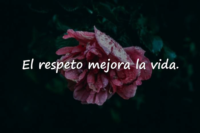 Imágenes frases del respeto - 1