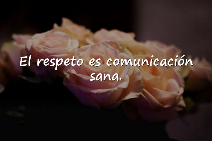 Imágenes frases del respeto - 21