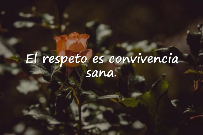 Imágenes frases del respeto - 16