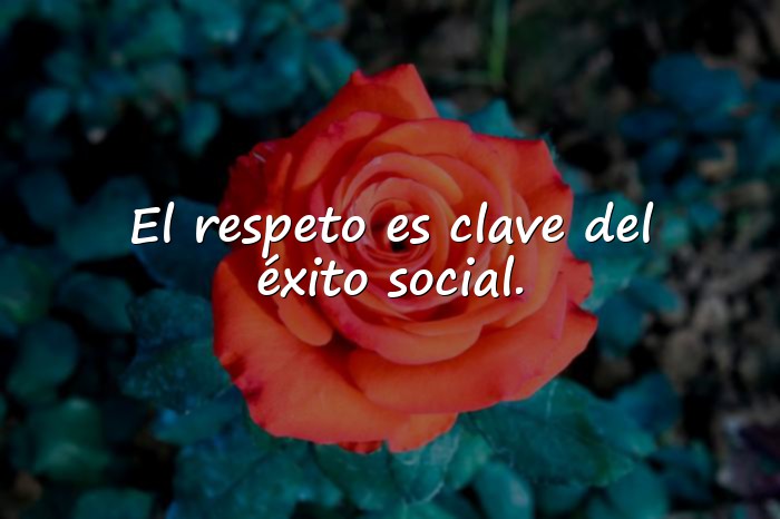 Imágenes frases del respeto - 6