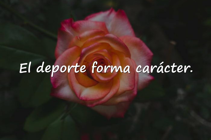 Imágenes frases deportivas - 11