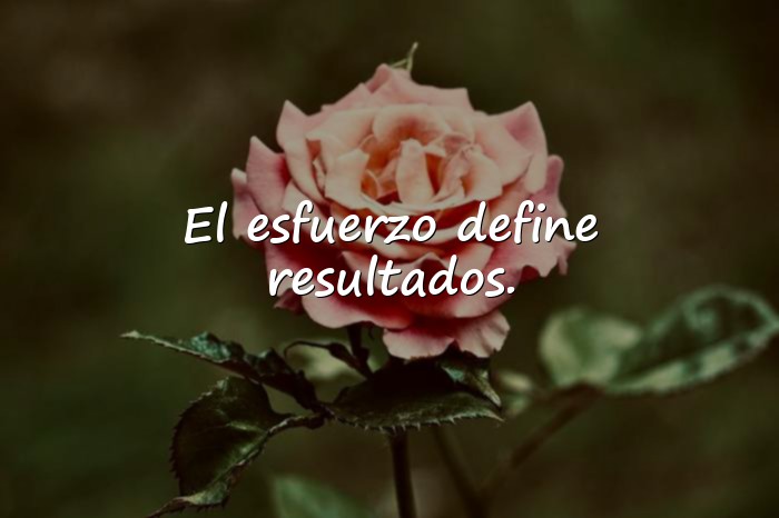 Imágenes frases deportivas - 24