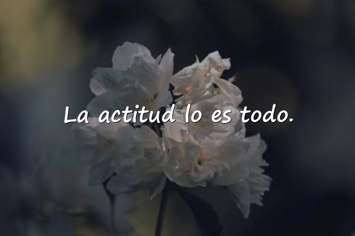 Imágenes frases deportivas - 14
