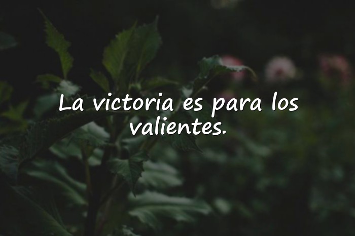 Imágenes frases deportivas - 5