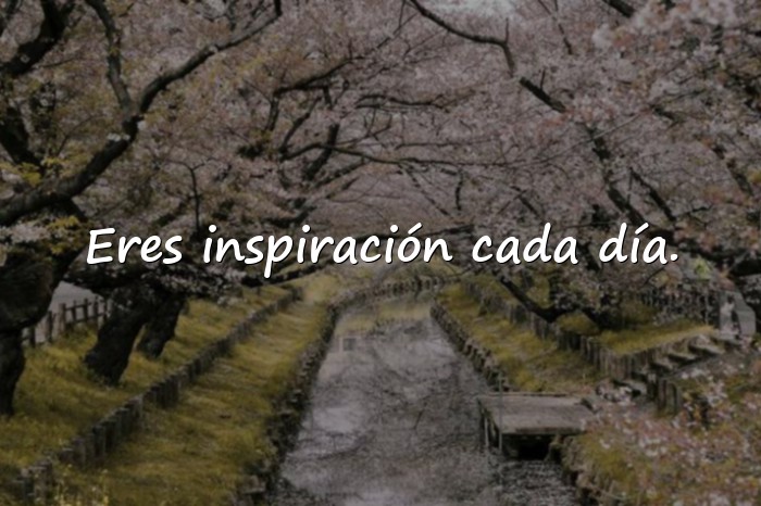 Imágenes frases dia de la mujer - 14