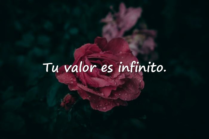 Imágenes frases dia de la mujer - 4