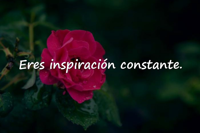 Imágenes frases dia de la mujer - 13