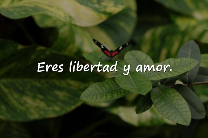 Imágenes frases dia de la mujer - 10