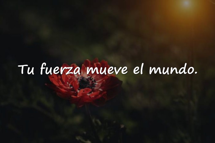 Imágenes frases dia de la mujer - 6