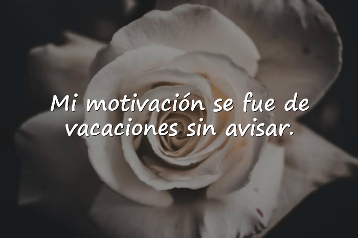 Imágenes frases divertidas - 20