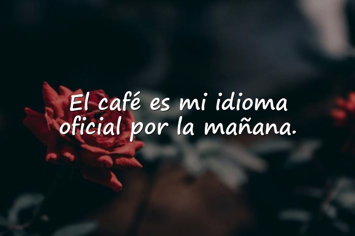 Imágenes frases divertidas - 10