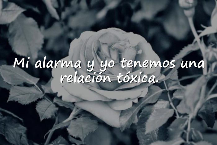 Imágenes frases divertidas - 6