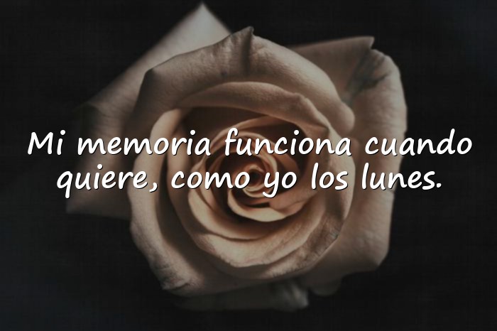 Imágenes frases divertidas - 1