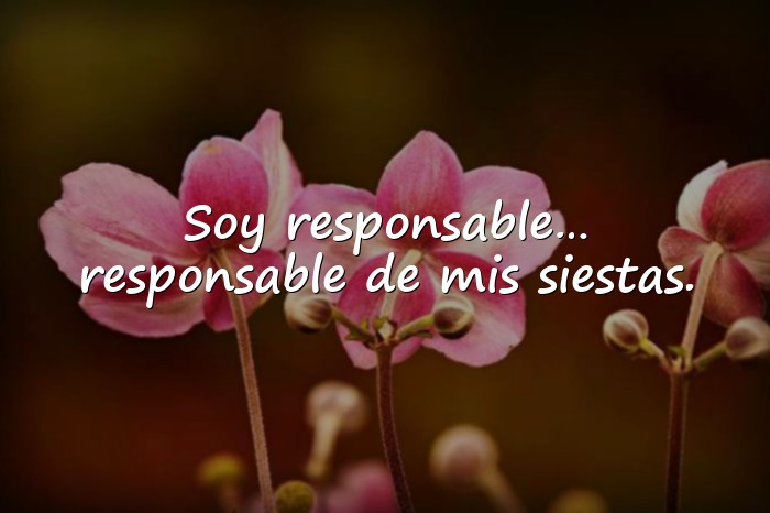 Imágenes frases divertidas - 21
