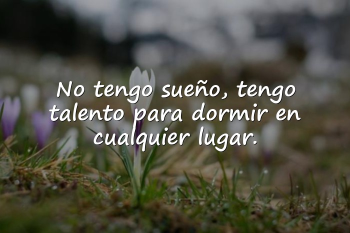Imágenes frases divertidas - 11