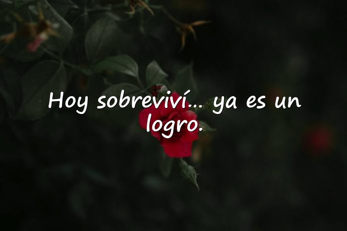 Imágenes frases divertidas - 1