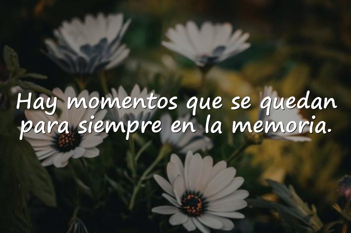 Imágenes frases emotivas - 16