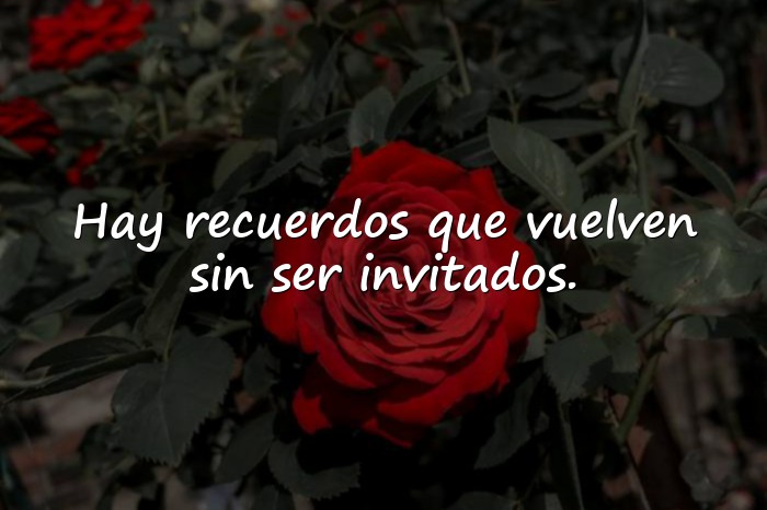 Imágenes frases emotivas - 11