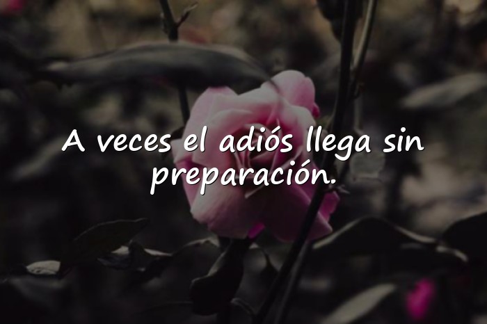 Imágenes frases emotivas - 6