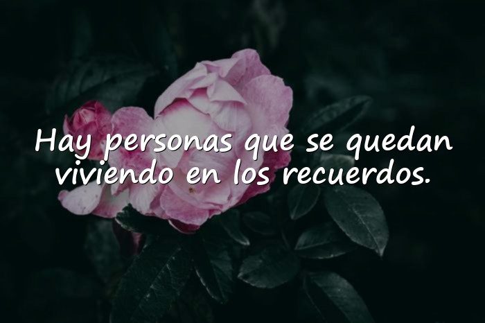 Imágenes frases emotivas - 21