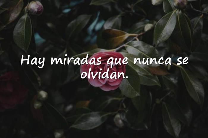 Imágenes frases emotivas - 16