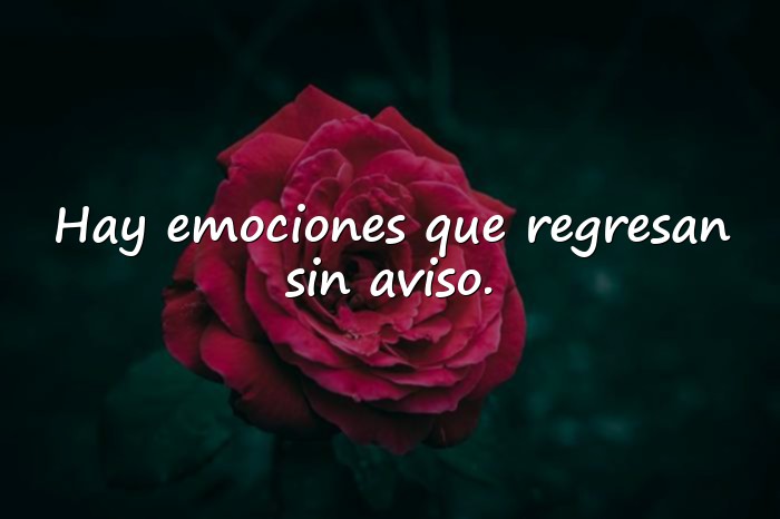 Imágenes frases emotivas - 11