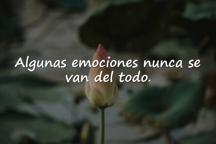 Imágenes frases emotivas - 1
