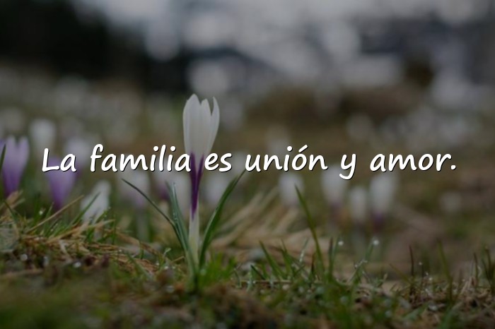 Imágenes frases familia - 6