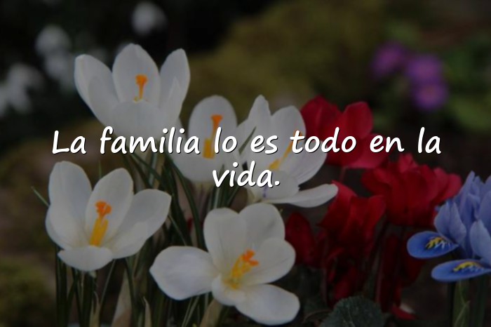 Imágenes frases familia - 3