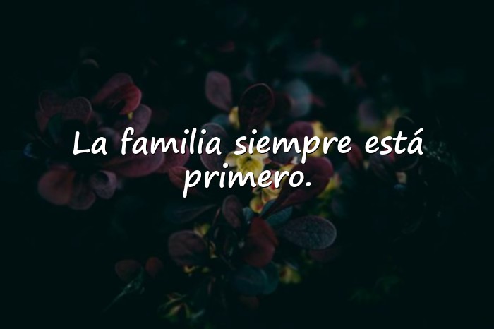 Imágenes frases familia - 24