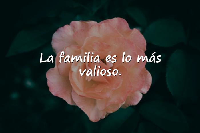 Imágenes frases familia - 17