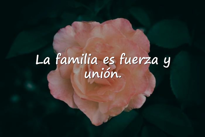 Imágenes frases familia - 14