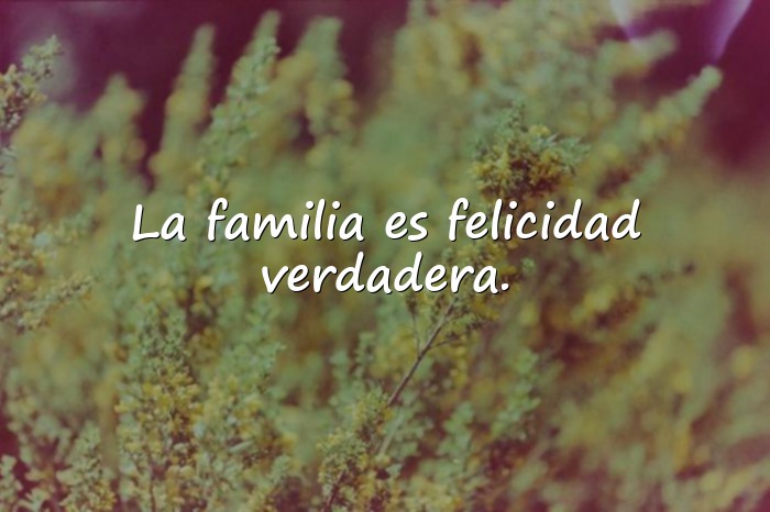 Imágenes frases familia - 12
