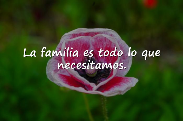 Imágenes frases familia - 9