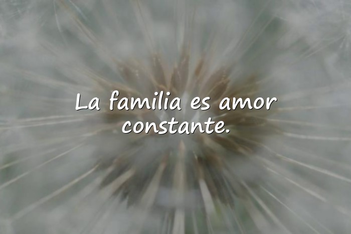 Imágenes frases familia - 5