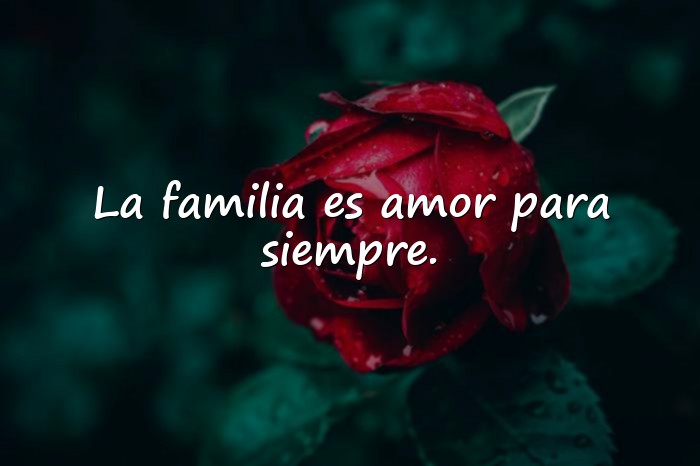 Imágenes frases familia - 1
