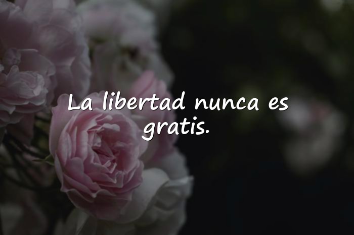 Imágenes frases famosas - 2