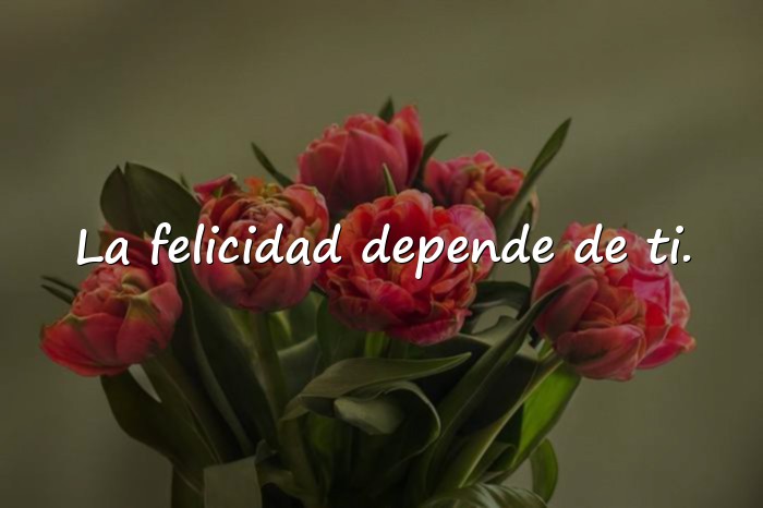 Imágenes frases famosas - 22
