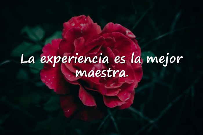 Imágenes frases famosas - 18