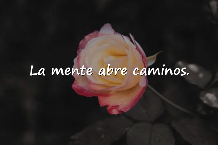 Imágenes frases famosas - 14