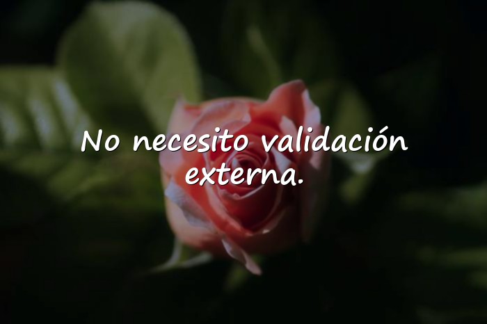 Imágenes frases feministas - 23