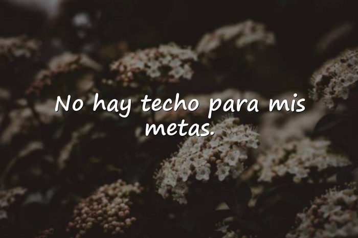 Imágenes frases feministas - 6