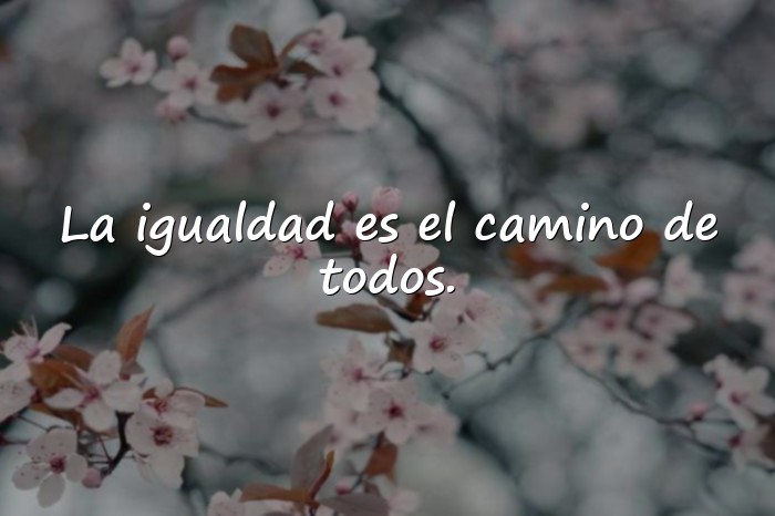 Imágenes frases feministas - 1