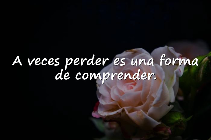 Imágenes frases filosóficas - 15