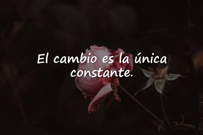 Imágenes frases filosóficas - 10