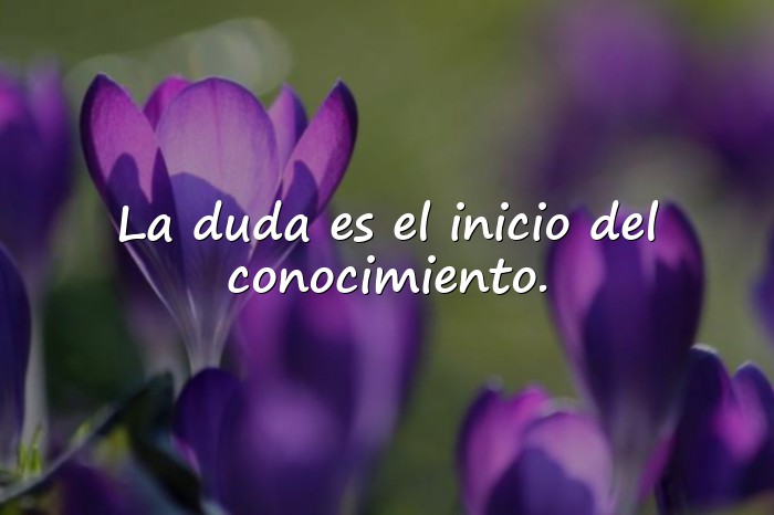 Imágenes frases filosóficas - 25
